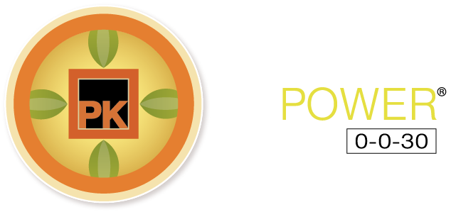 PK Power