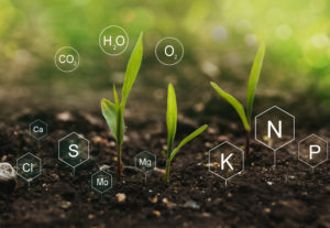 Soil nutrients. 