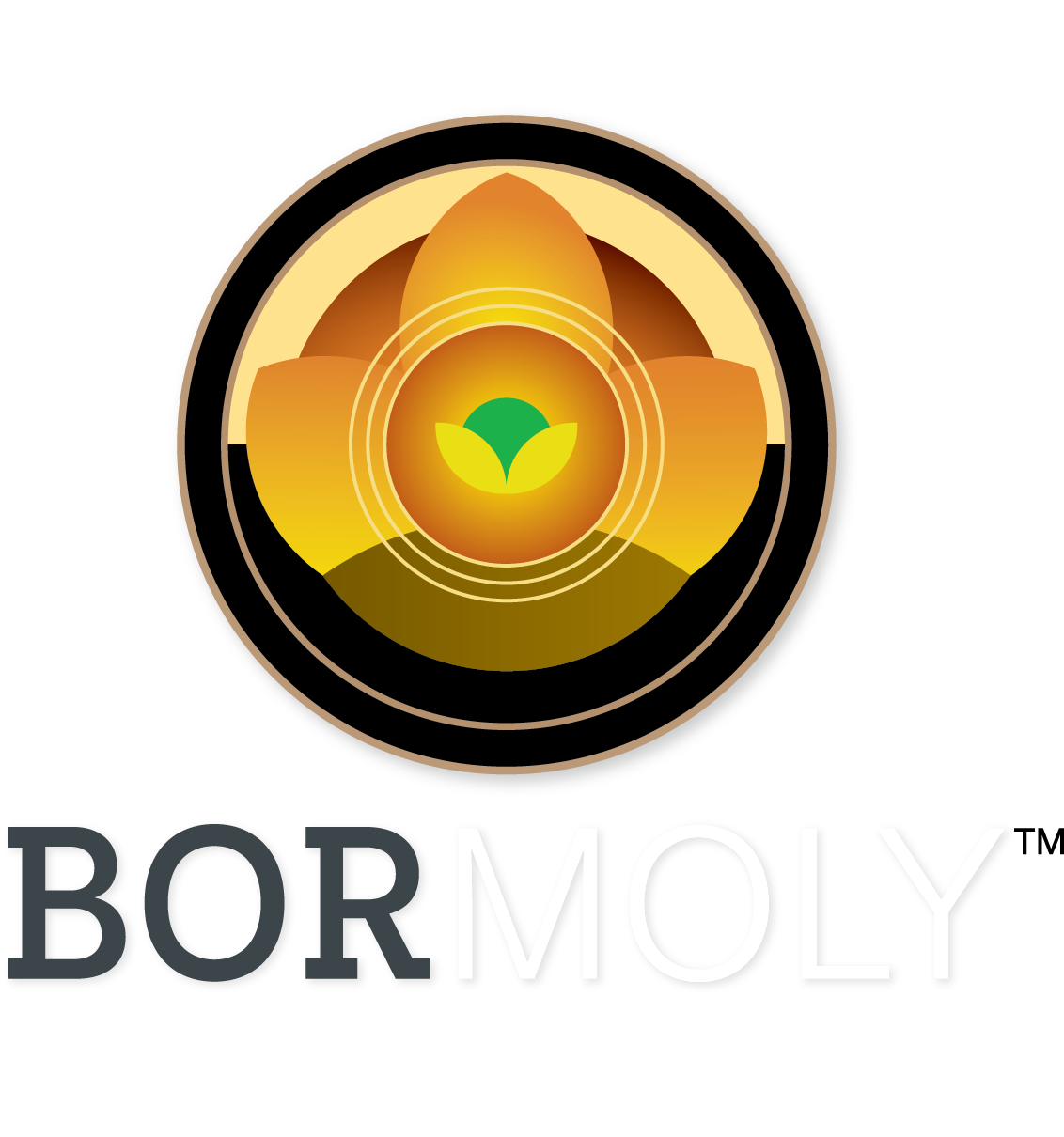 BorMoly